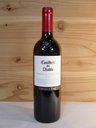 カッシェロ・デル・ディアブロ・カベルネ・ソーヴィニヨン[2008]年コンチャ・イ・トロCasillero del Diablo Cabernet Sauvignon [2008]